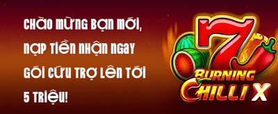 Hoàn Trả VIP Hàng Ngày promotion banner